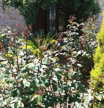 Artemisia Traditional Home Choudetsi Buitenkant foto