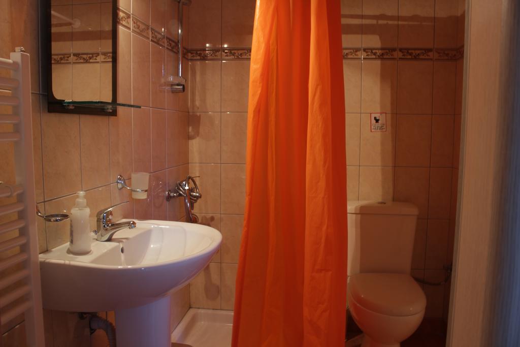 Artemisia Traditional Apartment Choudetsi