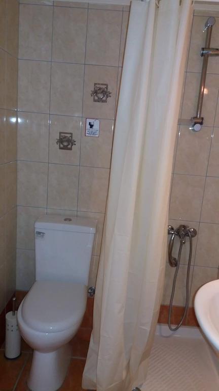 Artemisia Traditional Apartment Choudetsi