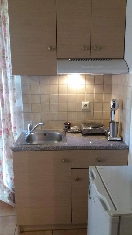 Artemisia Traditional Apartment Choudetsi