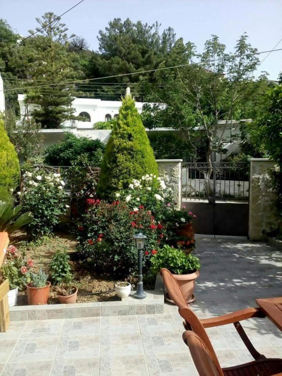 Artemisia Traditional